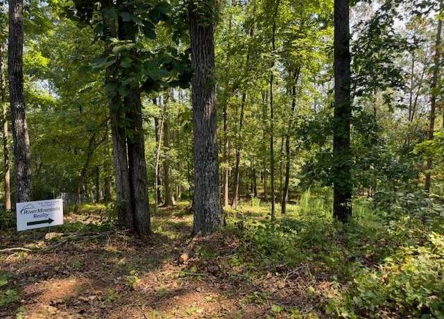 Property at 42 Kitchen Way E, Dahlonega, GA 30533