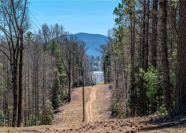 Property at 7.07AC Eastridge Ct, Blairsville, GA 30512