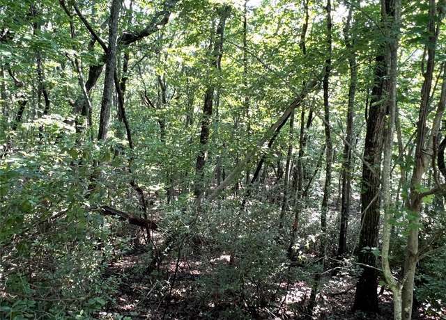 Property at 1502 Raspberry Ln, Clarkesville, GA 30523