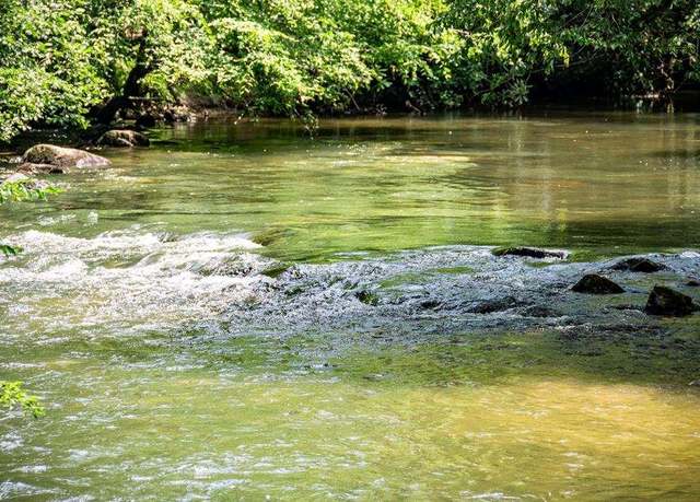 Property at L69&70 Bice Ln, Blue Ridge, GA 30513