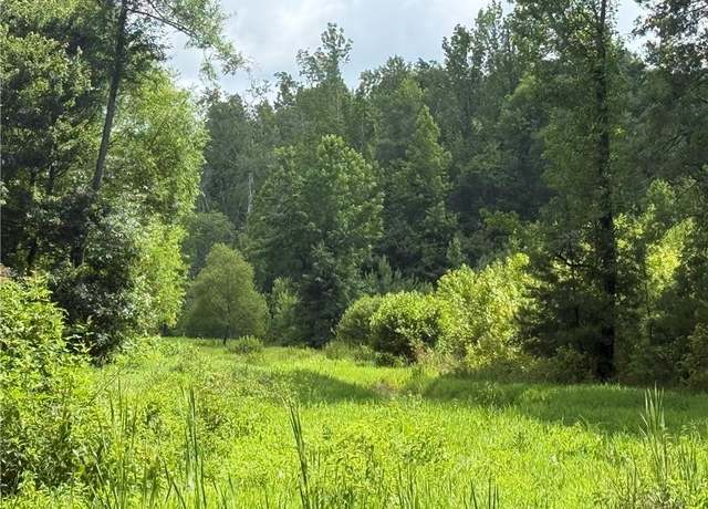 Property at 0 Turner Rd, Hampton, GA 30228