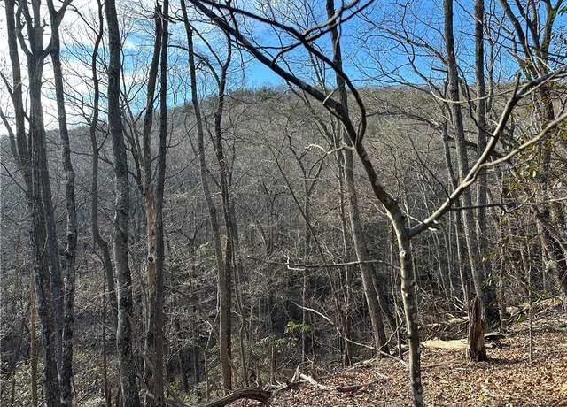 Property at Lt1141 Oglethorpe Mountain Rd, Jasper, GA 30143