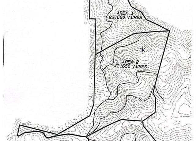 Property at 42.65 Acres Mincie Mtn, Murrayville, GA 30564