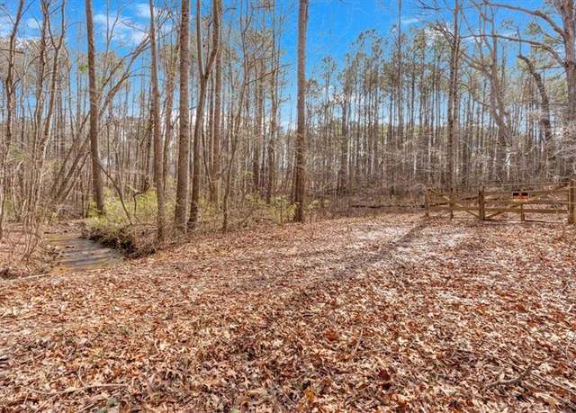 Property at 0 Raburn Lake Rd Rd, Bremen, GA 30110