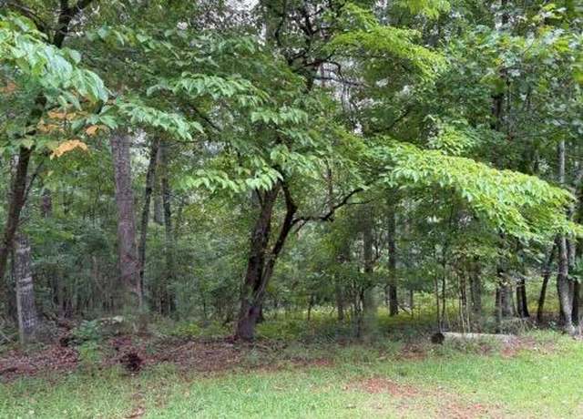 Property at Lot 13 Olivia Ln, Canton, GA 30115
