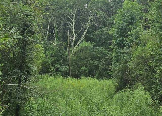Property at 000 Crowe Springs Spur NW, Adairsville, GA 30103