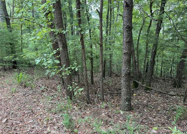 Property at 0 Shade Tree, Talking Rock, GA 30175