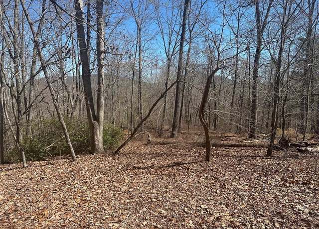 Property at 6.2 Mincey Acres Dr, Murrayville, GA 30564