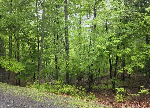 Property at LT 937 Myna Dr, Ellijay, GA 30540