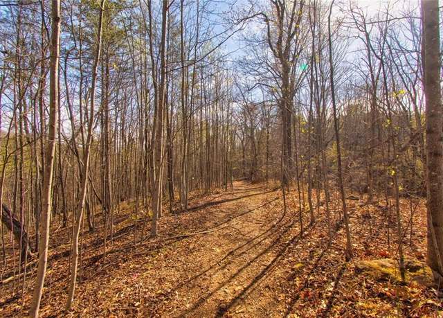 Property at 27.68 Chapman Ridge Ln, Dahlonega, GA 30533