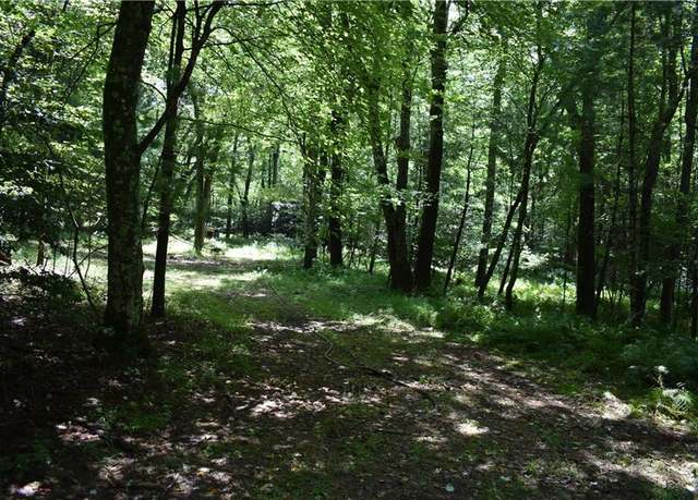 Property at Lot 45 Synacia Dr, Mineral Bluff, GA 30559