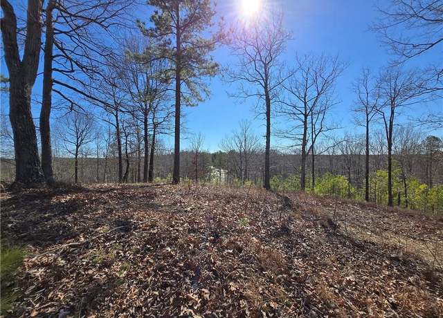 Property at 0 Brushy Mountain Rd, Rockmart, GA 30153