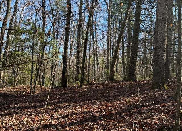 Property at 0 Mill Creek Acres, Blue Ridge, GA 30513
