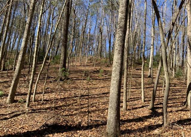 Property at 0 Walhalla Ct, Ellijay, GA 30540