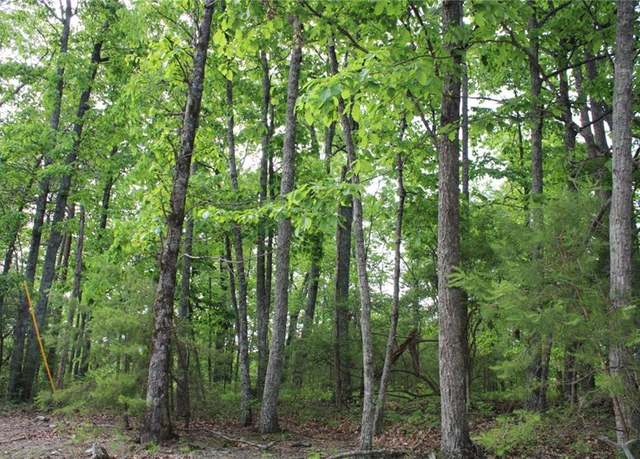 Property at 1427 Jasper Ct NE, Ranger, GA 30734