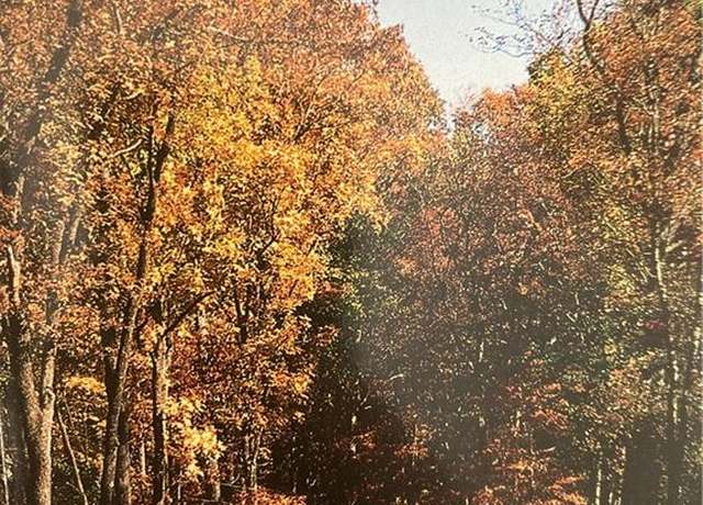 Property at 0 Andes Rdg, Jasper, GA 30143