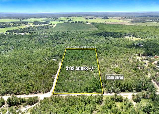 Property at 0 Sam Dr, Mauk, GA 31058