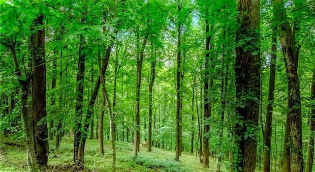 Photo of M165 Walnut Mtn, Ellijay, GA 30540