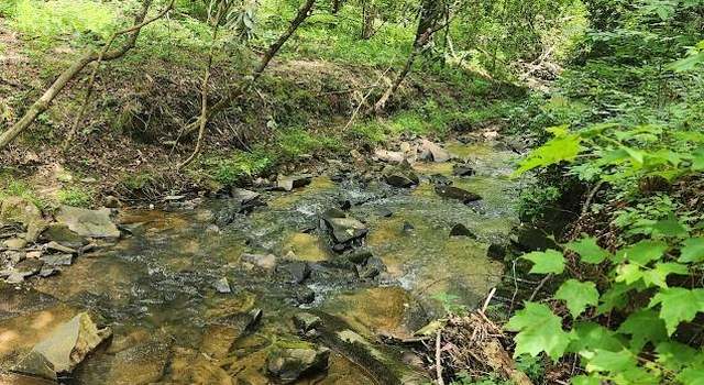 Photo of 0 Woodstone Trl, Ellijay, GA 30540