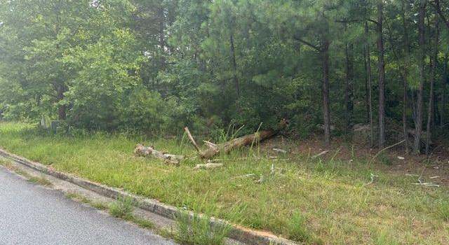 Photo of 4020 Gold Springs Pass, Villa Rica, GA 30180