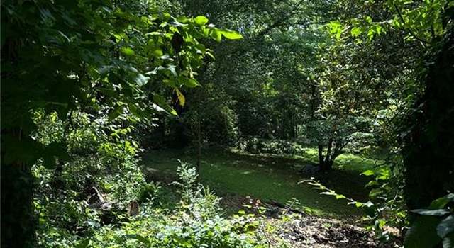 Photo of - Wood Valley Rd, Cumming, GA 30041
