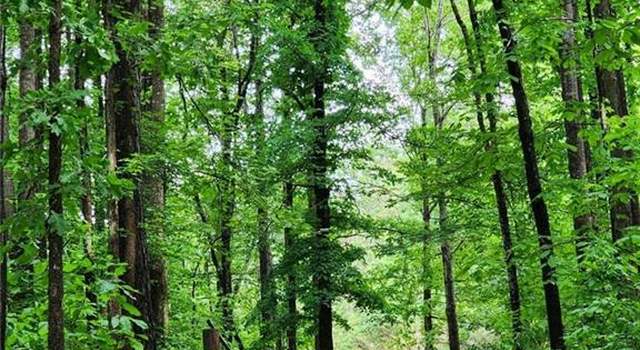 Photo of 2760 Kesler, Carnesville, GA 30521