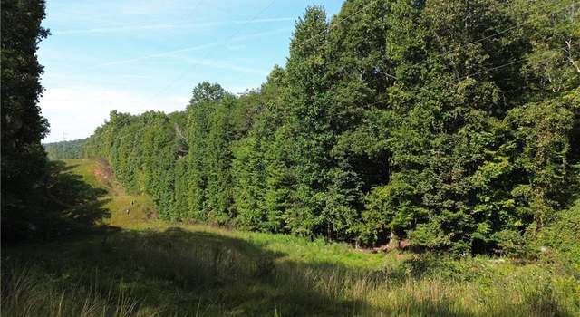 Photo of 0 Calhoun Rd, Dahlonega, GA 30533