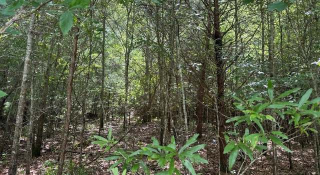 Photo of 0 Meadow Ln, Talking Rock, GA 30175