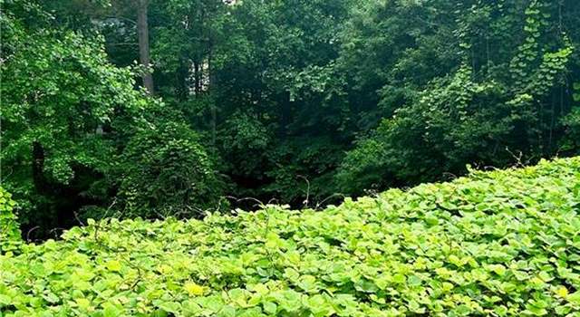 Photo of 875 Josh Ln, Lawrenceville, GA 30045