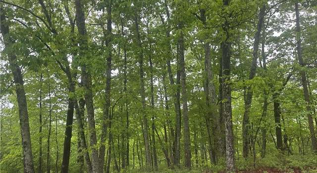 Photo of 1417 Foxhound Trl NE, Ranger, GA 30734