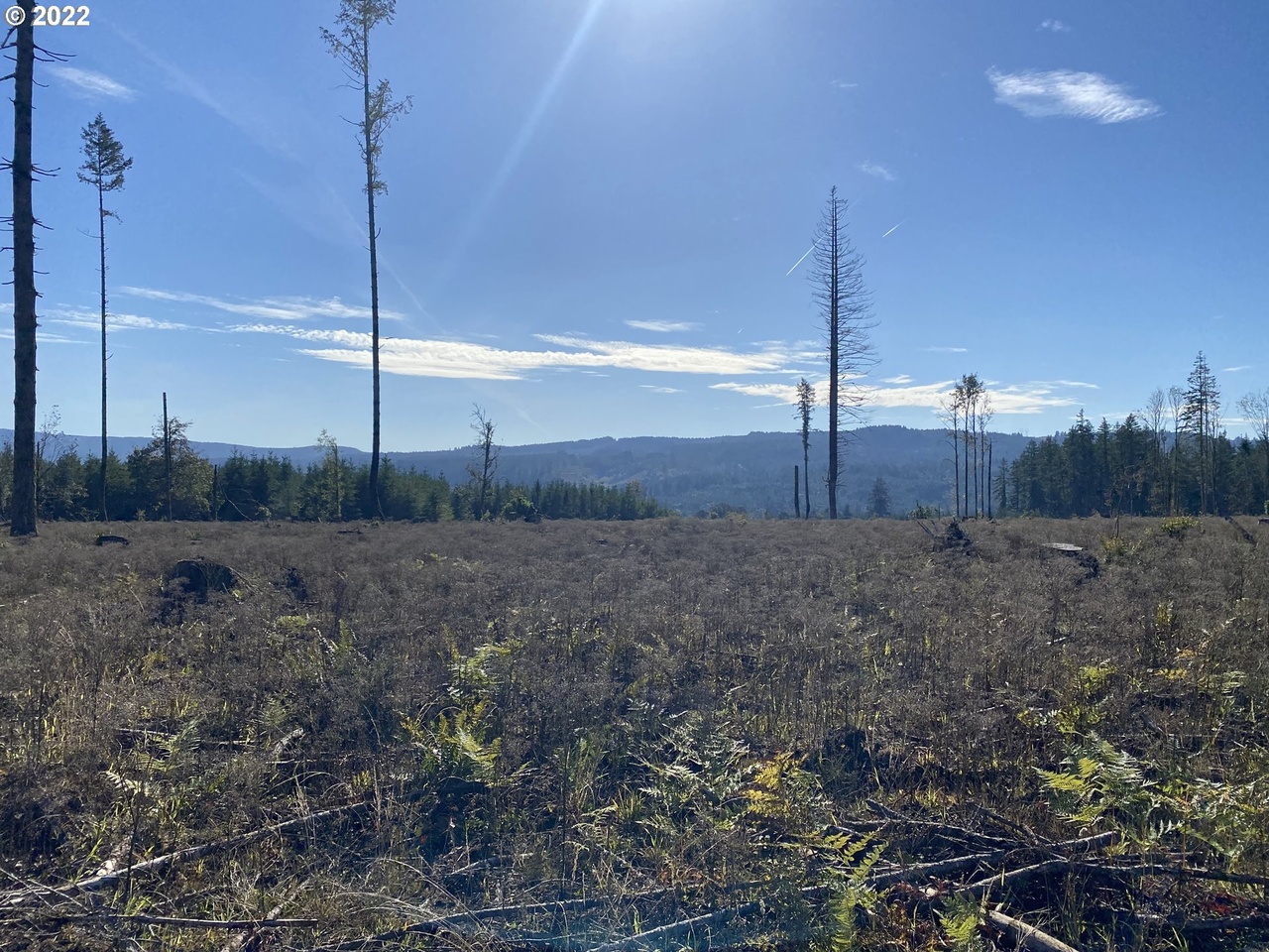 0 Highway 226, Scio, OR 97374 MLS 22413320 Redfin