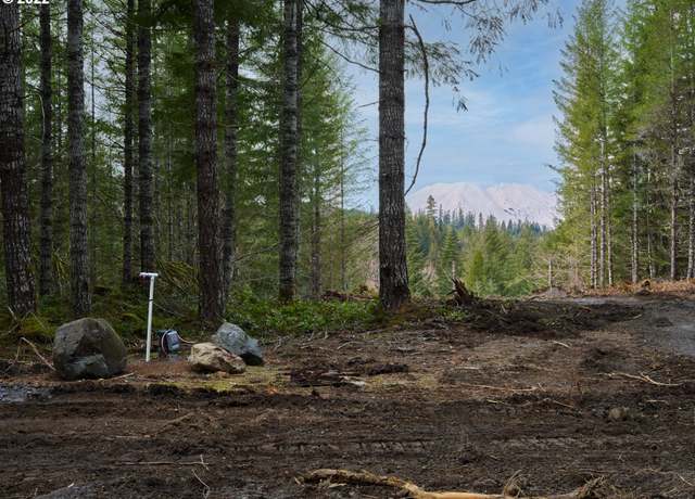 Property at Lahar Ln Unit 1A, Cougar, WA 98616