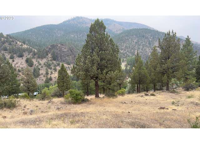 Property at 0 Adams Dr, Canyon City, OR 97820