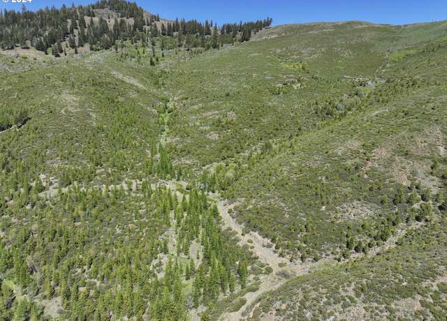 Property at 0 Nfs 1680 Rd, Unity, OR 97884