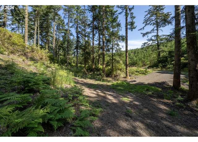 Property at Hillsdale Unit TL242, Oceanside, OR 97134