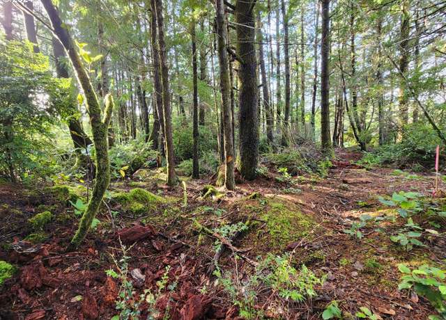 Property at Kreiger Ln #122, Port Orford, OR 97465