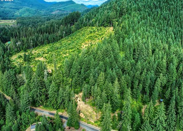 Property at Bear Creek Rd, Carson, WA 98610