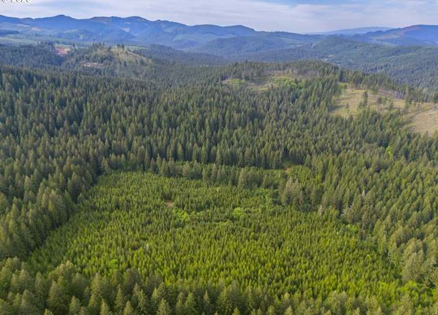 Property at 0 Shotgun Creek Rd, Marcola, OR 97454