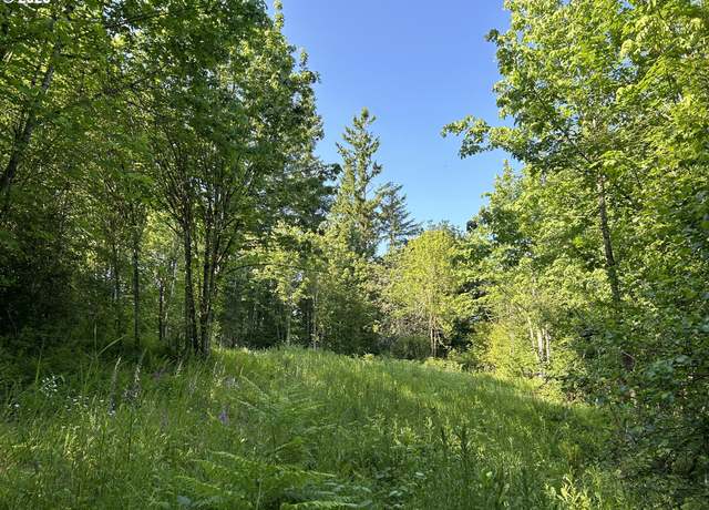 Property at NE Fargher Dr, Yacolt, WA 98675