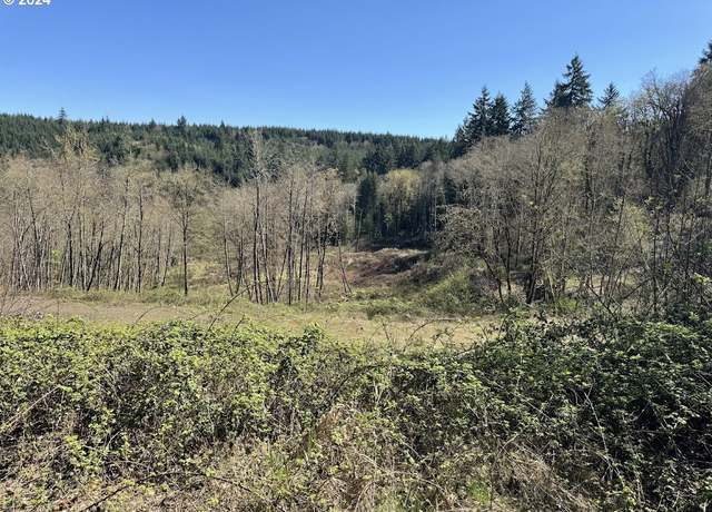 Property at Smith Rd, St. Helens, OR 97051