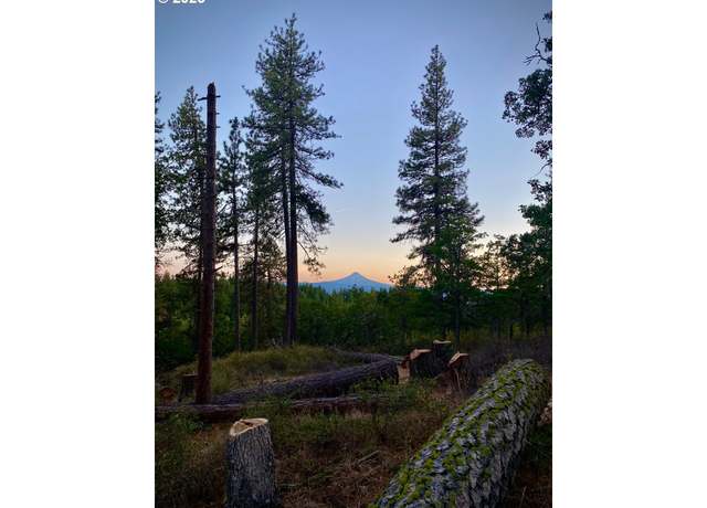 Property at Secluded Way #2, Lyle, WA 98635
