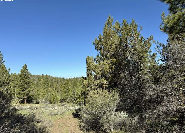 Property at Drews Gap Rd Unit TL 1300, Lakeview, OR 97630