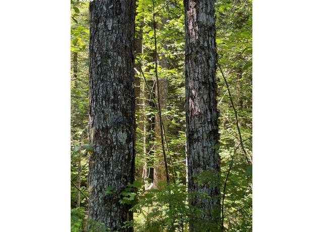 Property at Forest Road 4610, Estacada, OR 97023