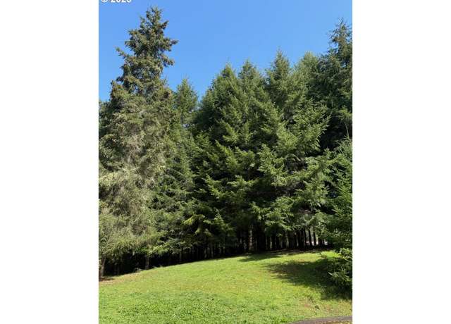 Property at 243 Edgeview Dr, Elkton, OR 97436