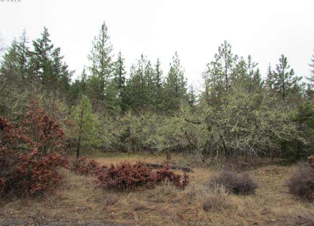Property at 55 Bertha N Orchard Rd, Lyle, WA 98635