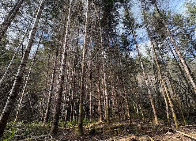 Property at 0 Gunners Lake Mainlin Rd, Scappoose, OR 97056