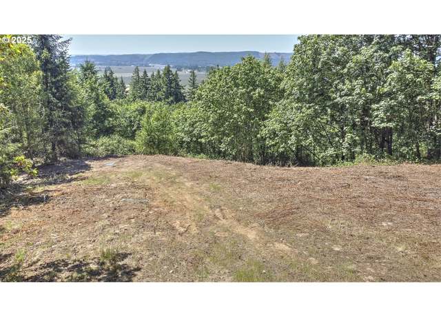 Property at 0 Columbia View Dr, Woodland, WA 98674