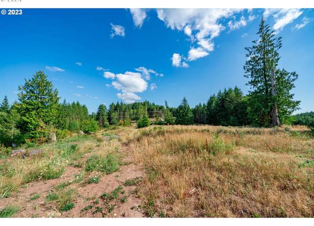 Property at 0 S Silver Lk #8, Castle Rock, WA 98611