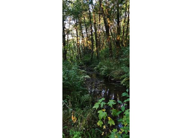 Property at 31917 Brooks Rd, Yankton, OR 97051