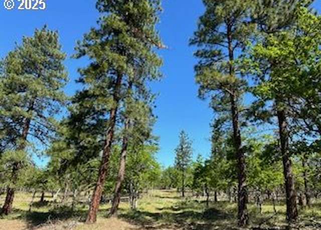 Property at 00 D Pine Rd, Goldendale, WA 98620